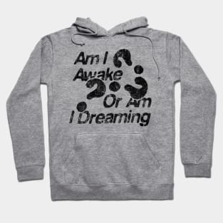 am i awake or i dreaming Hoodie